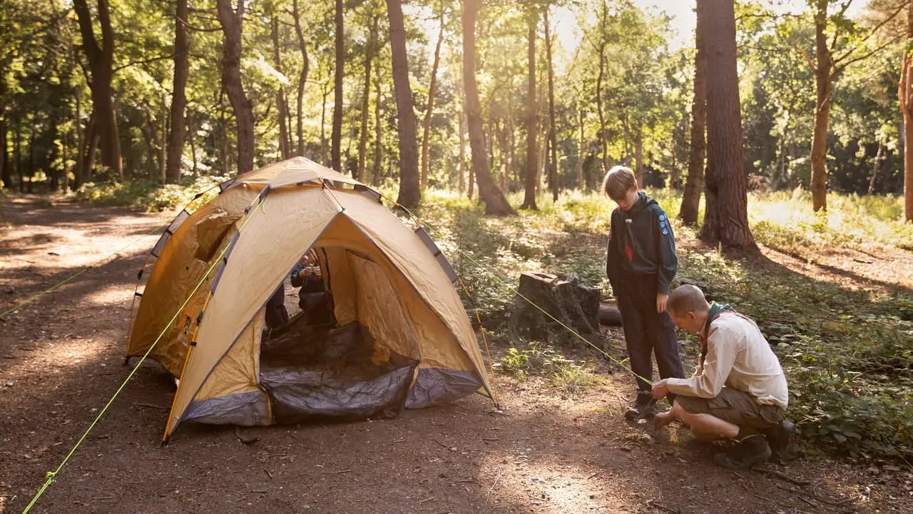 camping with a dog