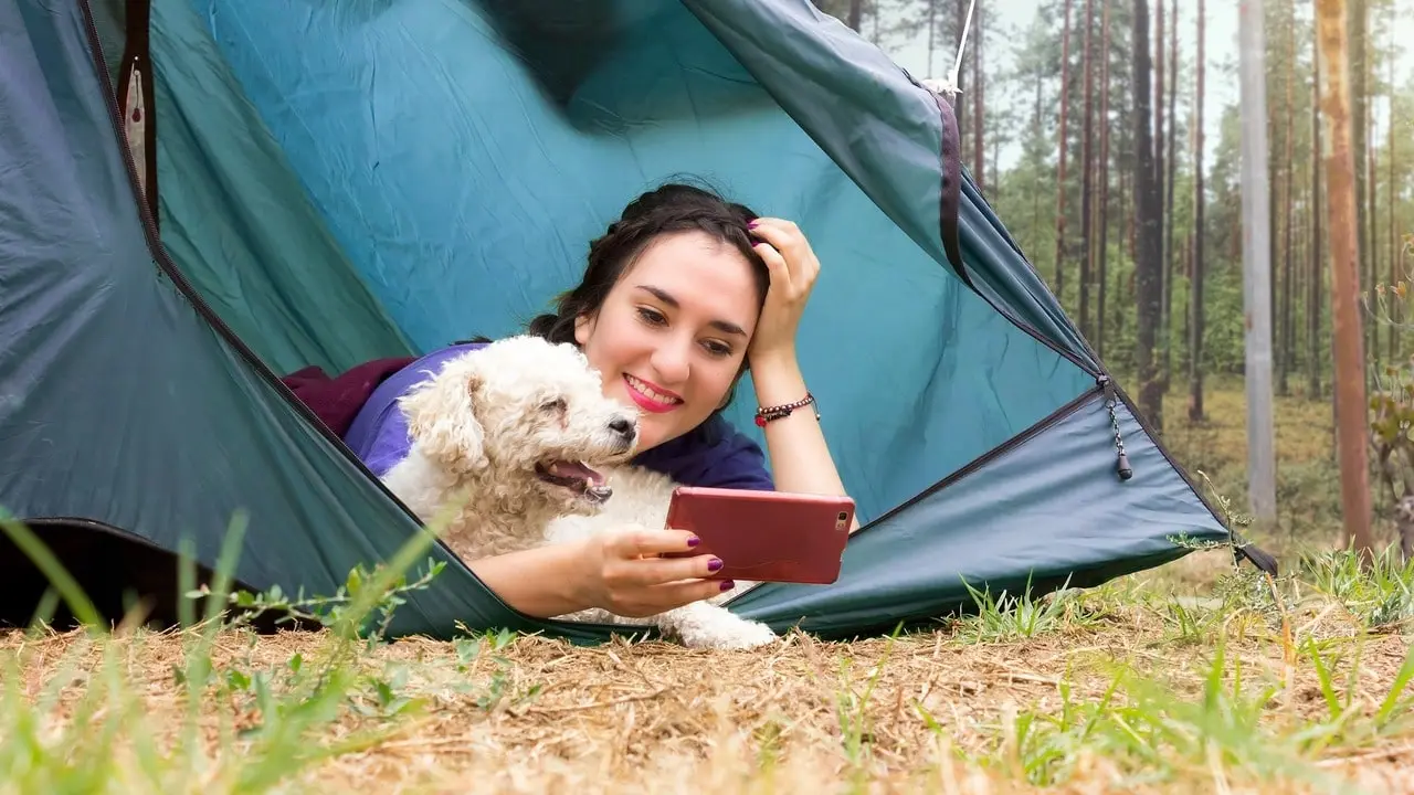 camping with a dog