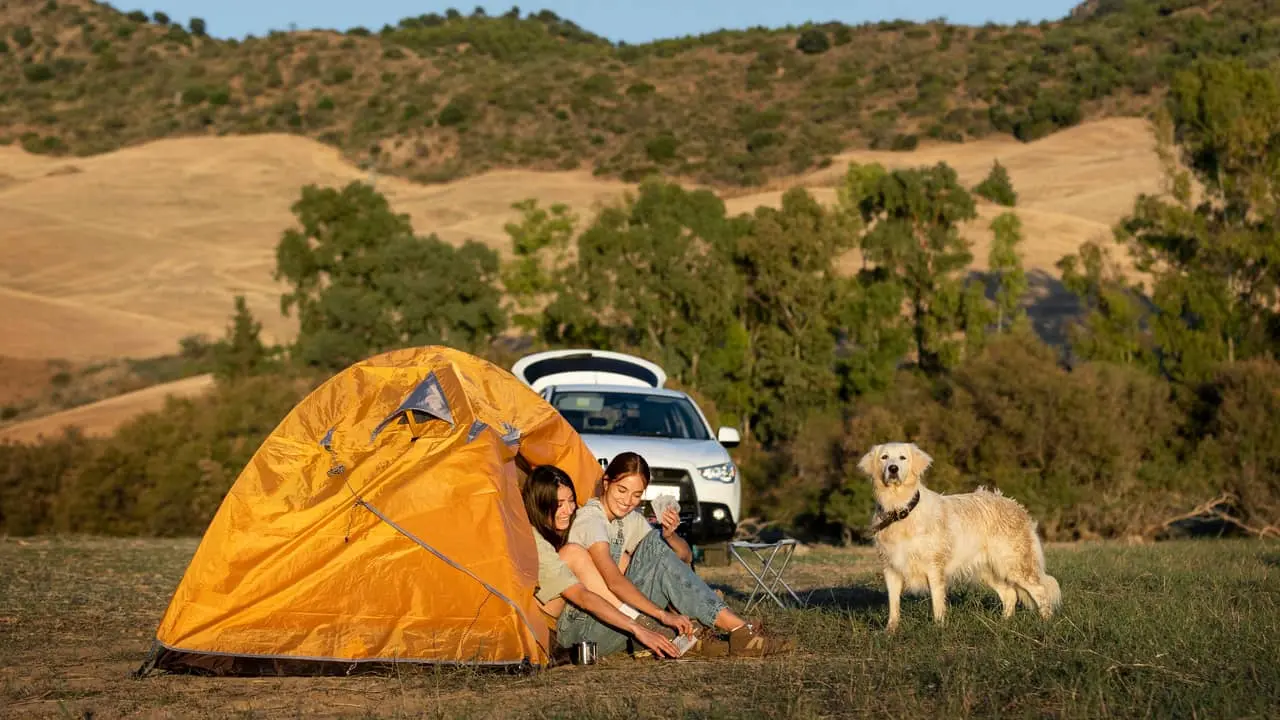 camping with a dog