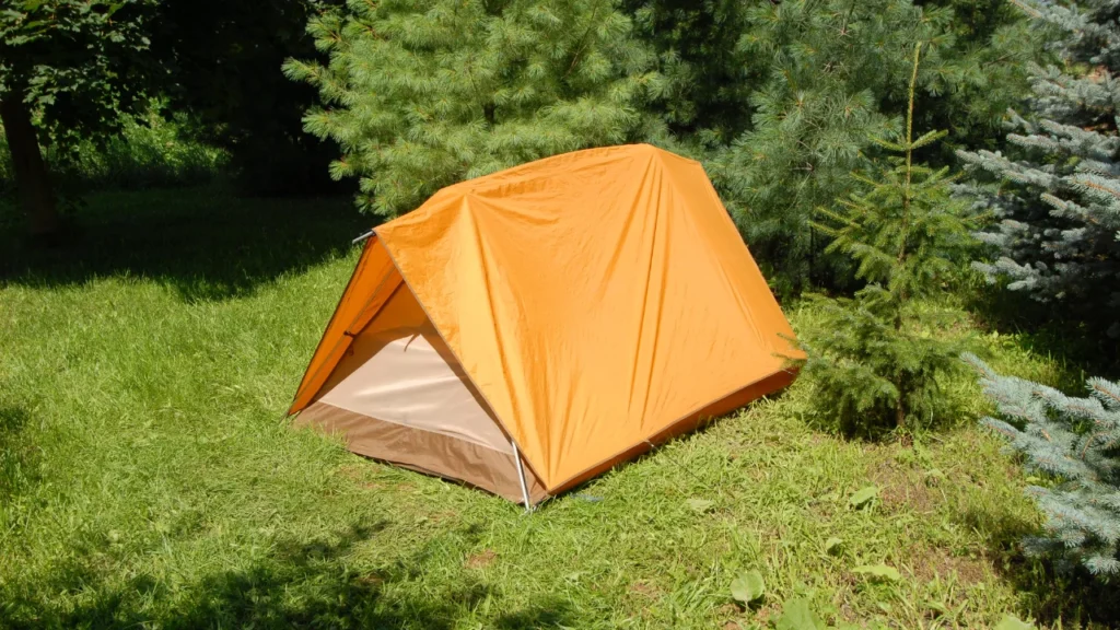 Best 6-Person Tents