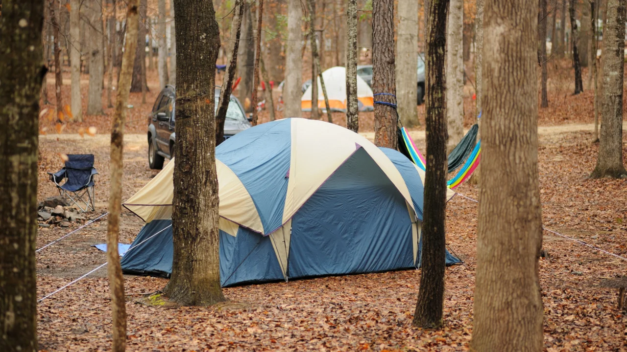 Best 6-Person Tents for Family and Friends Camping Adventures