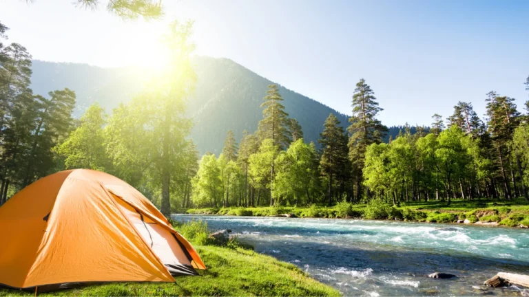 Camping In A Tent