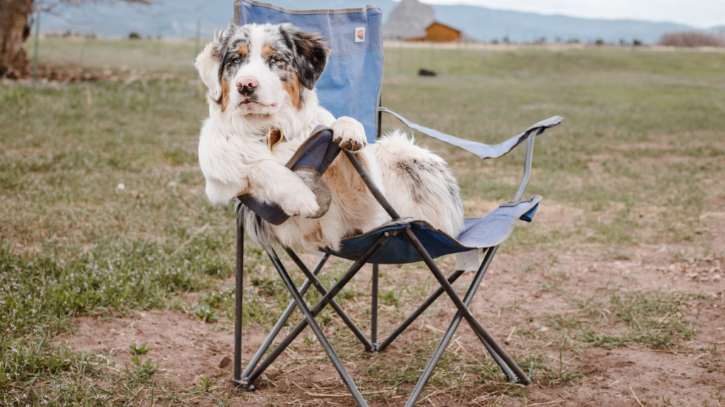 Heavy Duty Camping Chairs