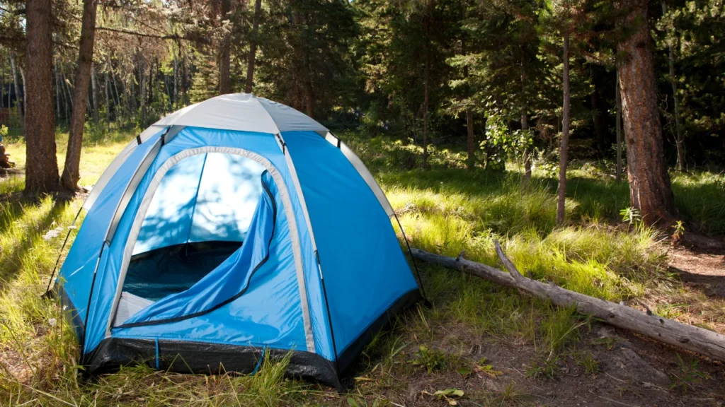 Best Pop Up Tent