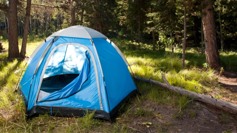 Best 4 Season Tent